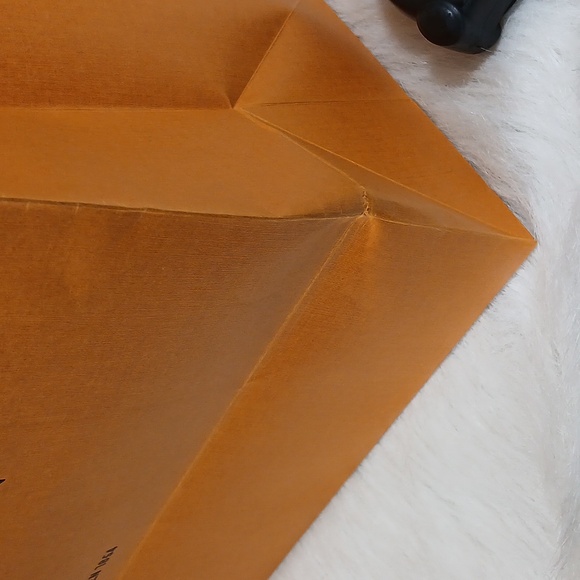 Louis Vuitton Orange Bag and Box Unisex - Picture 4 of 15